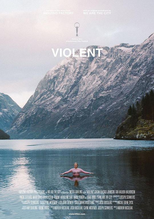 剧烈回忆 Violent (2014)