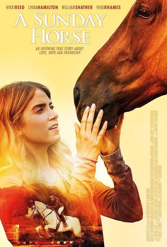 冠军赛马 The Sunday Horse (2015)