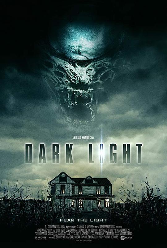 暗夜凶光 Dark Light (2019)