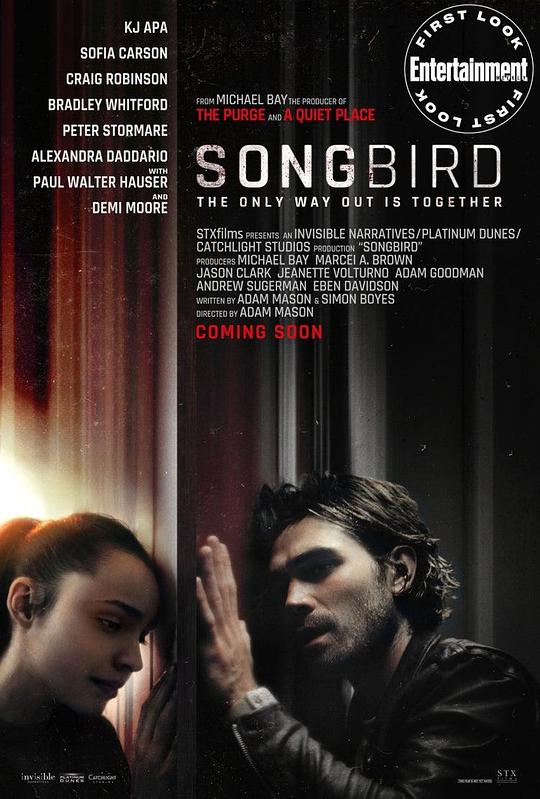 鸣鸟 Songbird (2020)