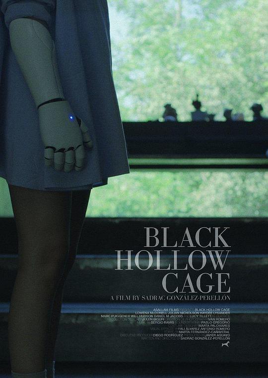 黑盒子 Black Hollow Cage (2017)