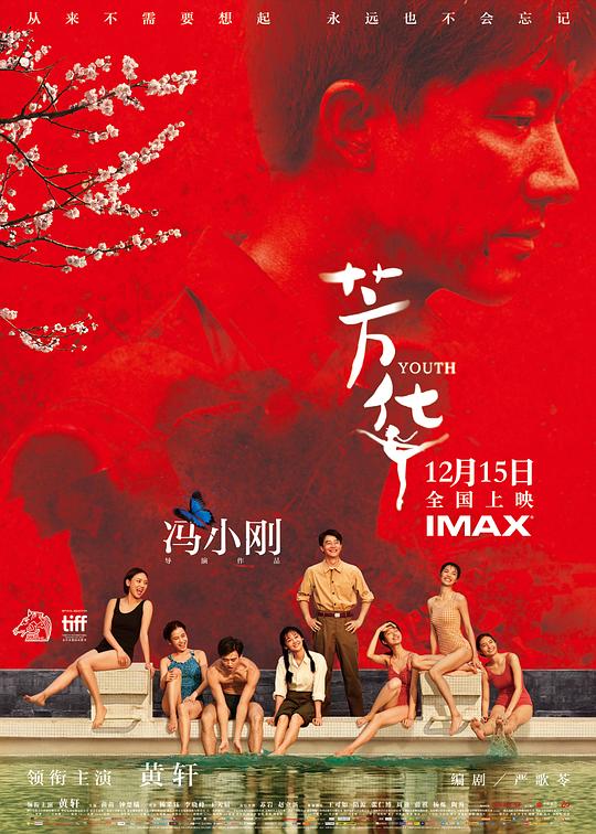 芳华  (2017)