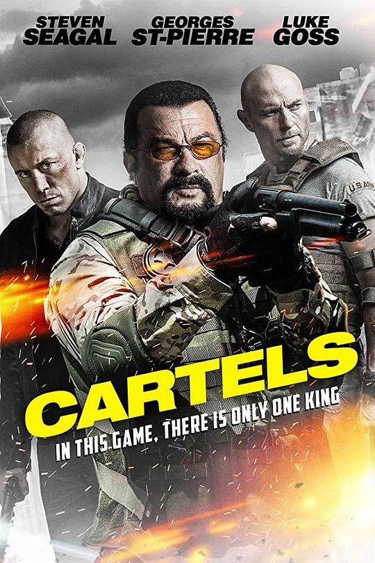 杀死萨拉查 Cartels (2017)