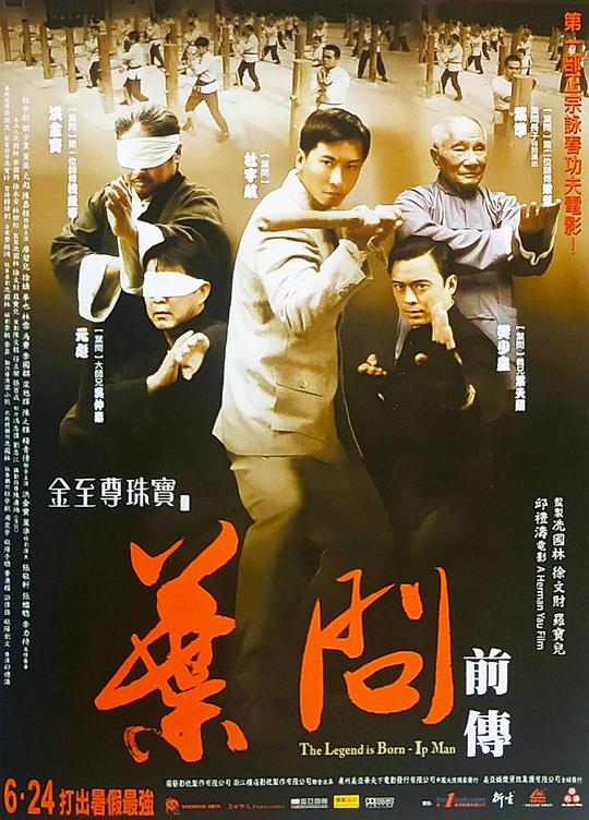 叶问前传  (2010)