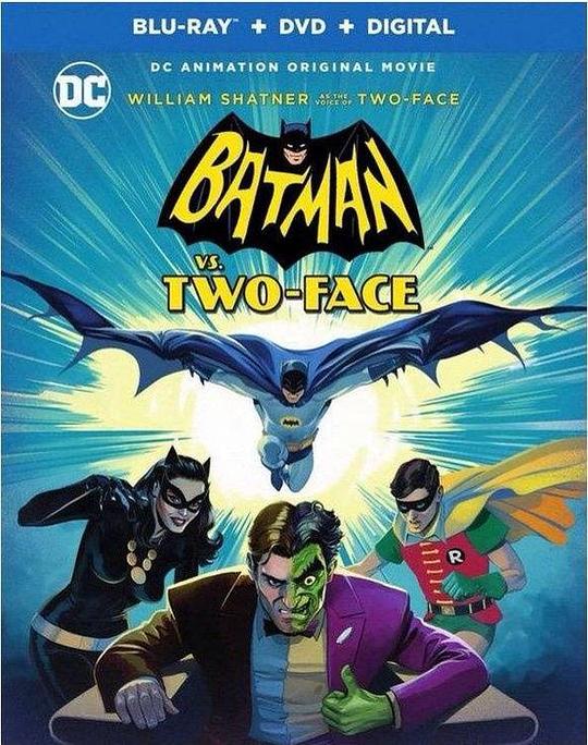 蝙蝠侠大战双面人 Batman Vs. Two-Face (2017)