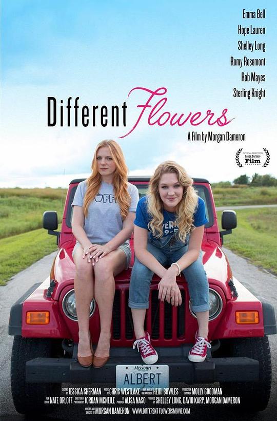 不一样的花蕊 Different Flowers (2017)