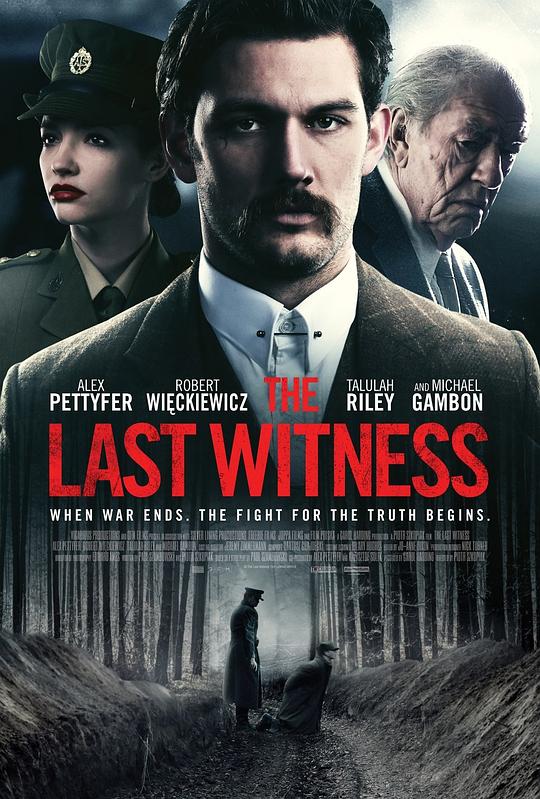 最后证人 The Last Witness (2018)