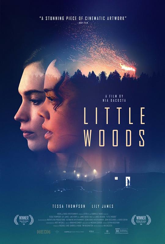 小森林 Little Woods (2018)