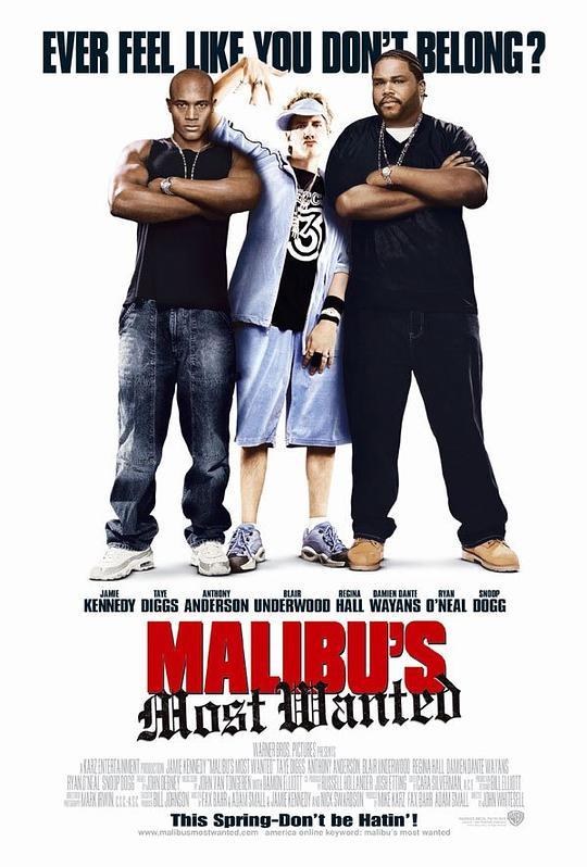 马里布绑票案 Malibu's Most Wanted (2003)