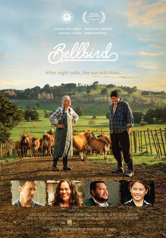 钟鸣鸟 Bellbird (2019)