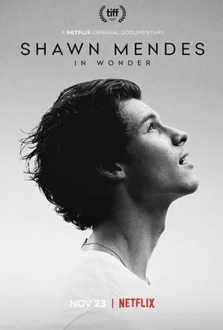 肖恩·门德斯：一路走来 Shawn Mendes: In Wonder (2020)