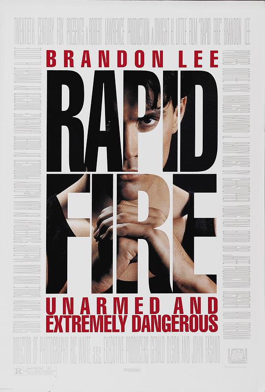 龙霸天下 Rapid Fire (1992)