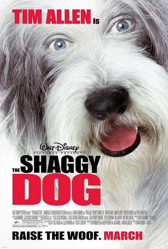 长毛狗 The Shaggy Dog (2006)