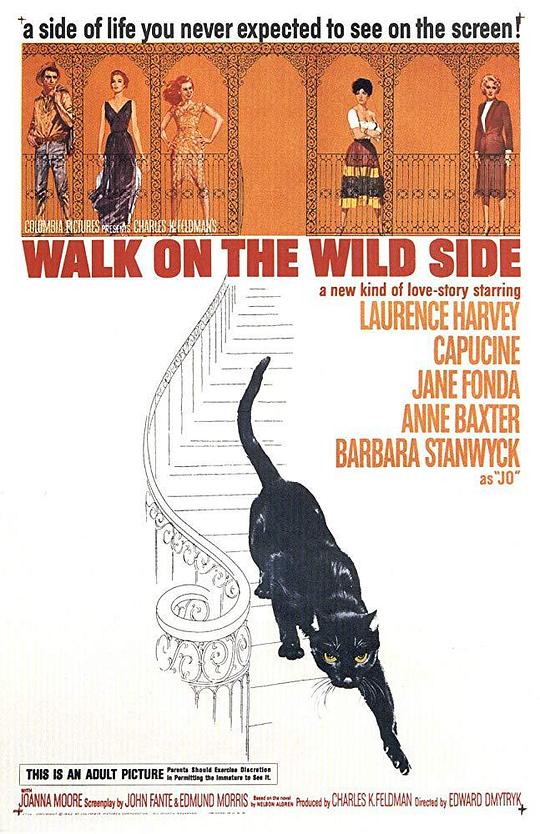 神女生涯原是梦 Walk on the Wild Side (1962)