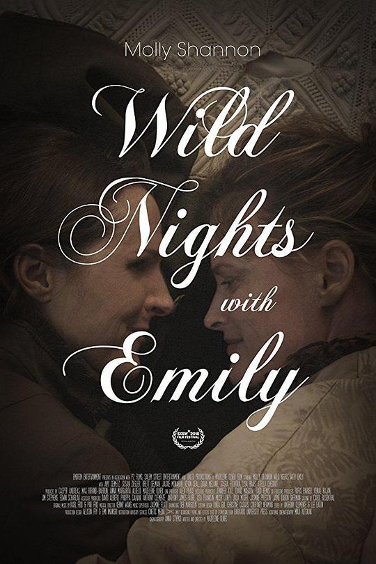 与艾米丽的疯狂夜晚 Wild Nights with Emily (2018)