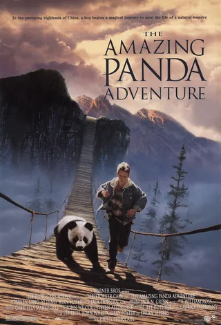 小猫熊历险记 The Amazing Panda Adventure (1995)