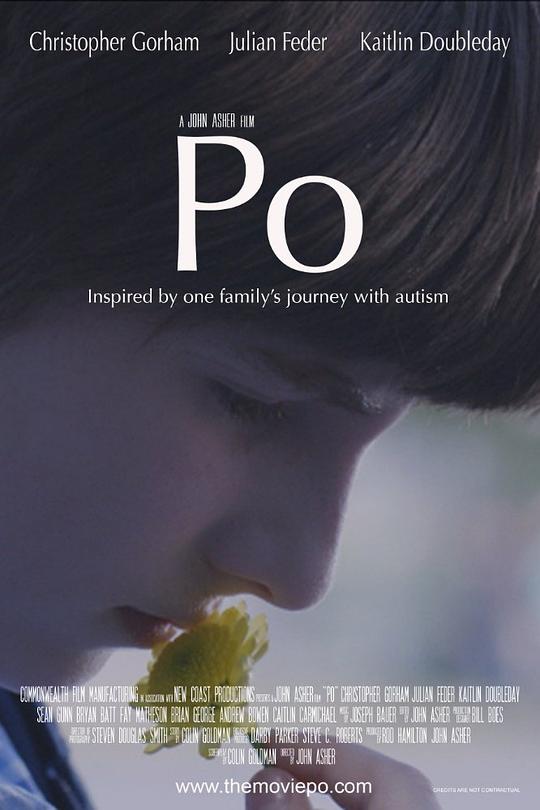 一个叫阿宝的男孩 A Boy Called Po (2016)