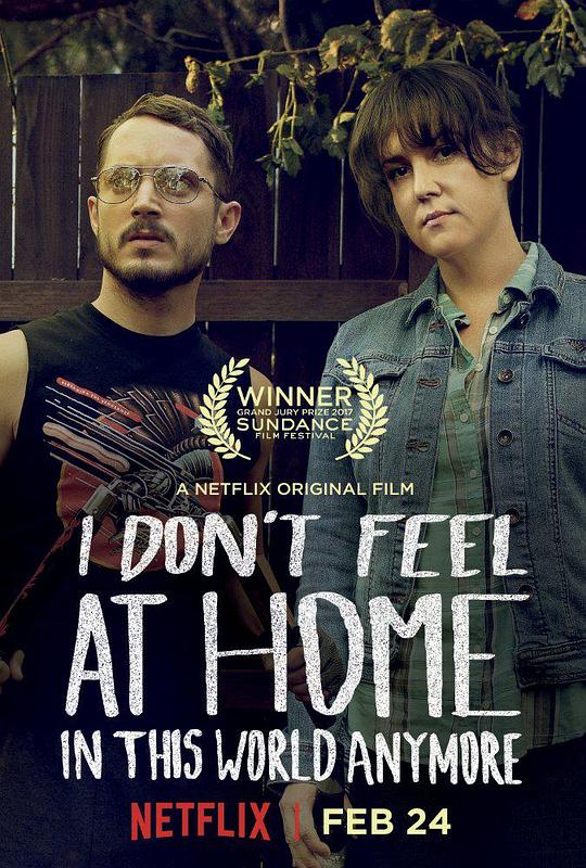 无处为家 I Don't Feel at Home in This World Anymore (2017)