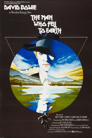 天外来客 The Man Who Fell to Earth (1976)