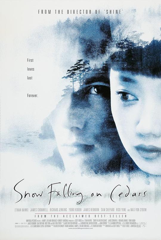 落在香杉树的雪花 Snow Falling on Cedars (1999)