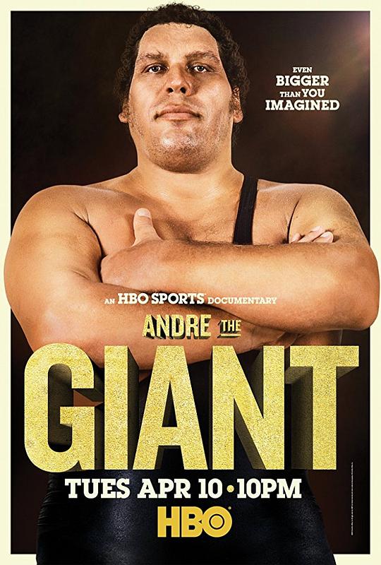 巨人安德雷 Andre the Giant (2018)