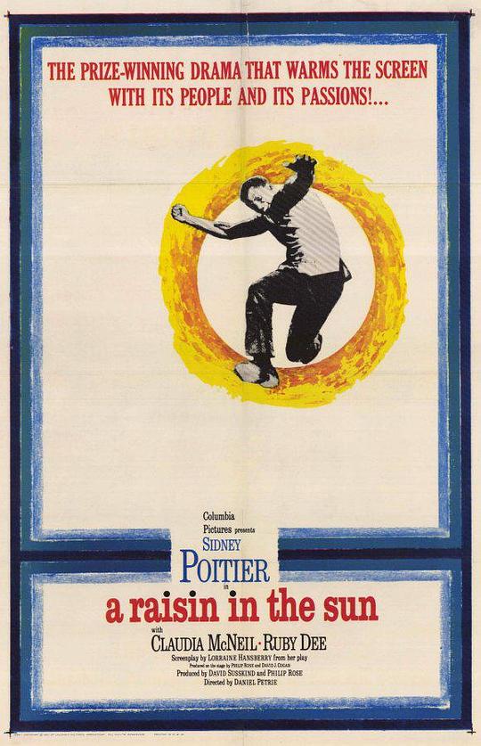 阳光下的葡萄干 A Raisin in the Sun (1961)