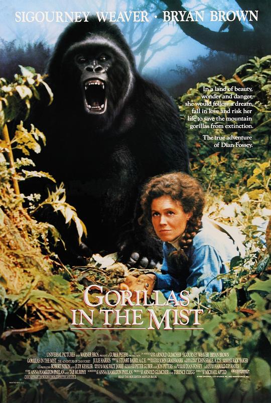 迷雾森林十八年 Gorillas in the Mist: The Story of Dian Fossey (1988)