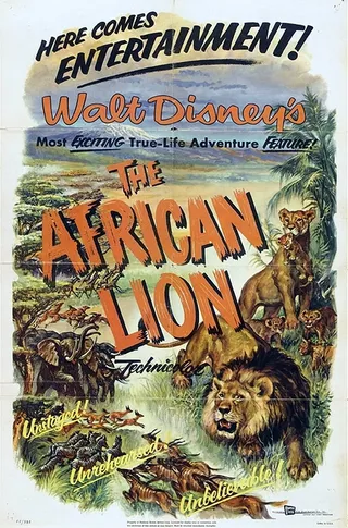 猛兽 The African Lion (1955)