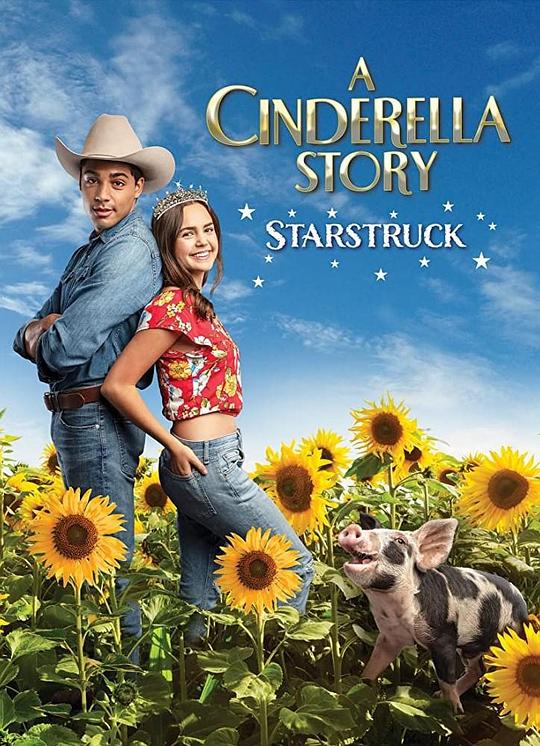 灰姑娘的故事：明星之恋 A Cinderella Story: Starstruck (2021)