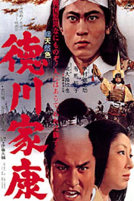 德川家康 (1965)