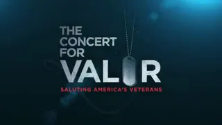 The Concert for Valor  (2014)