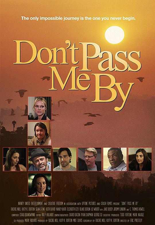 Don't Pass Me By  (2011)