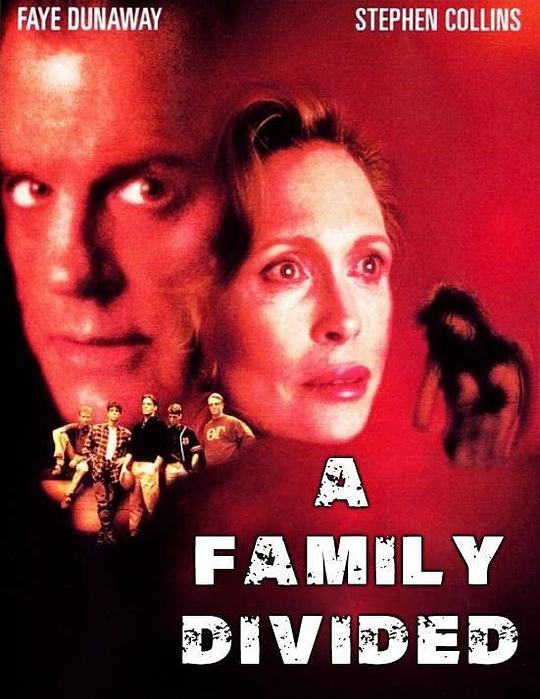 A Family Divided (1995)