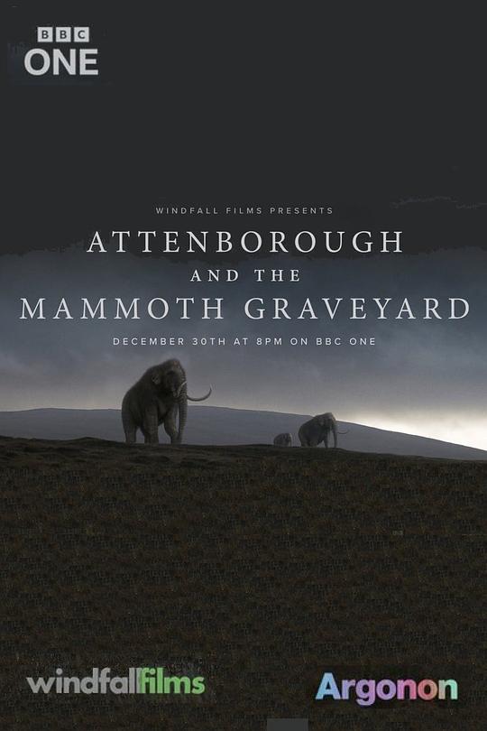 爱登堡与猛犸墓地 Attenborough and the Mammoth Graveyard (2021)