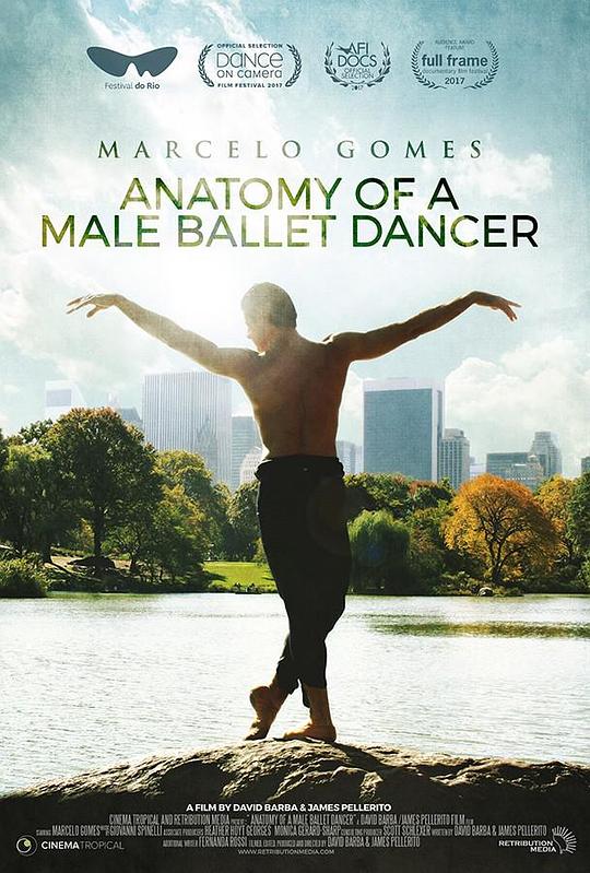 Anatomy of a Male Ballet Dancer  (2017)