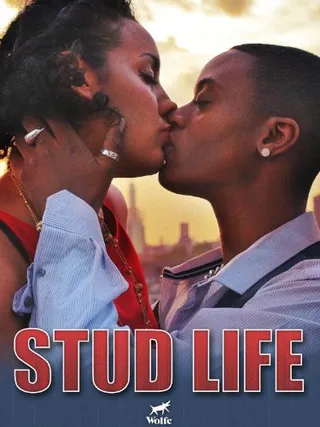 诱人的生活 Stud Life (2012)