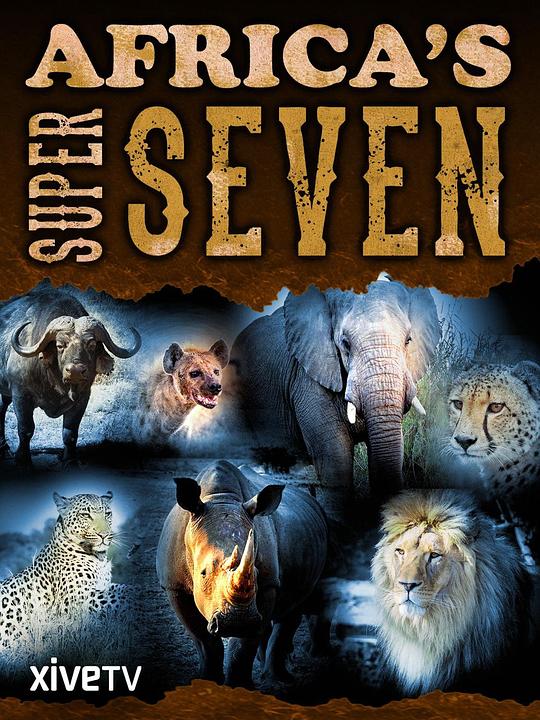 非洲七猛兽 Africa's Super Seven (2005)