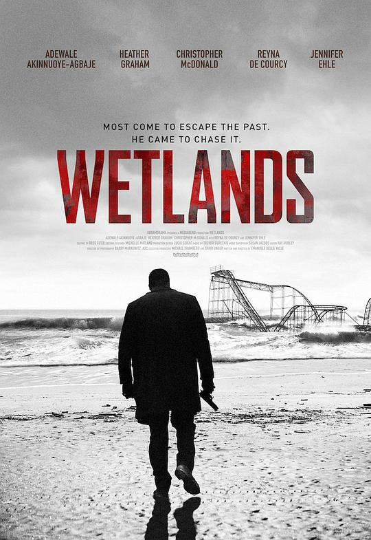 沼泽地 Wetlands (2017)