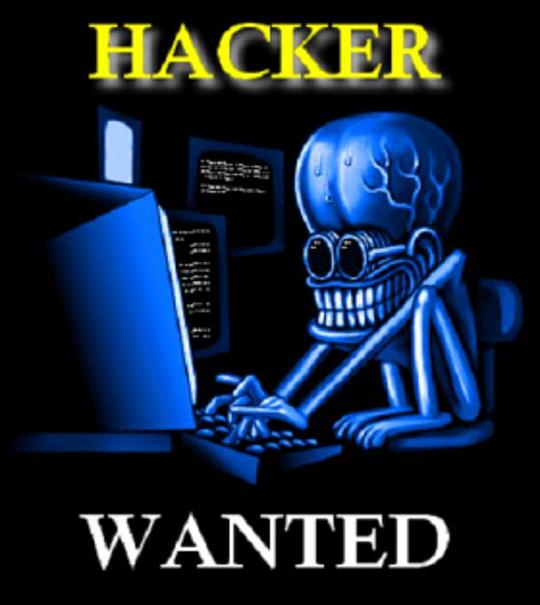 Hackers Wanted (2008)