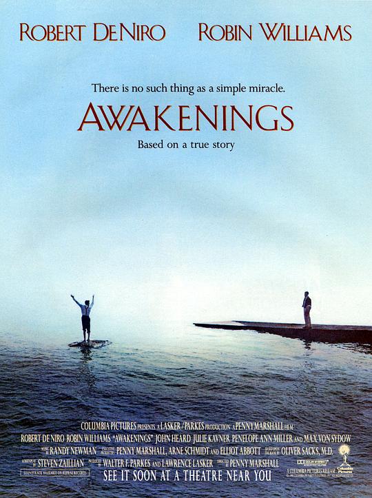 无语问苍天 Awakenings (1990)