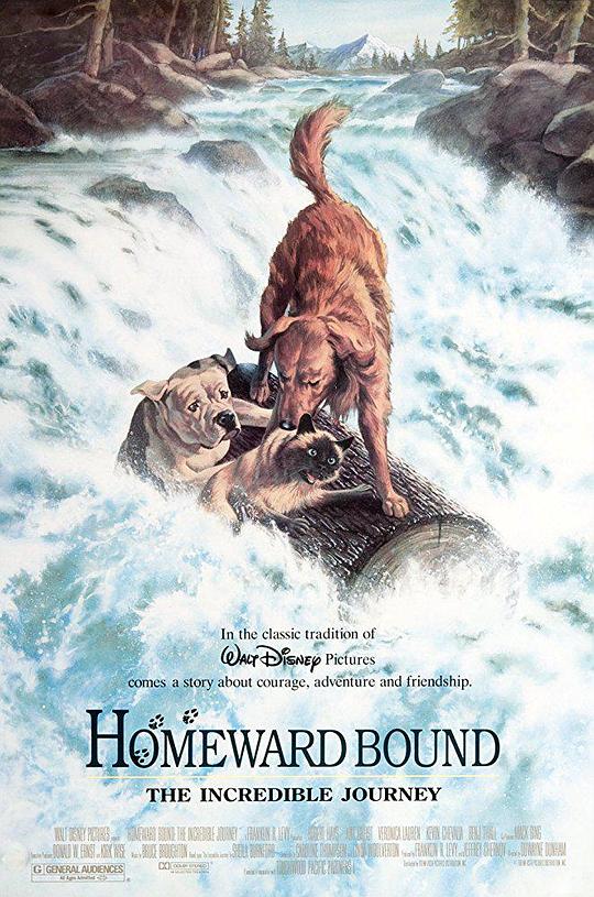 看狗在说话 Homeward Bound: The Incredible Journey (1993)