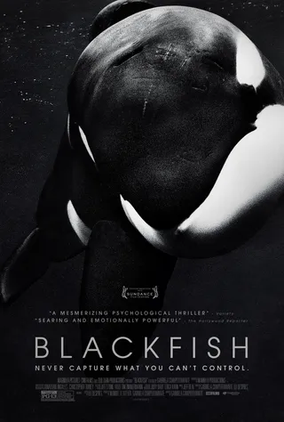 黑鲸 Blackfish (2013)