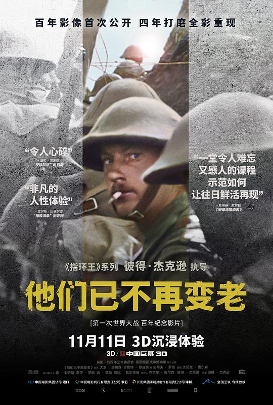 他们已不再变老 They Shall Not Grow Old (2018)