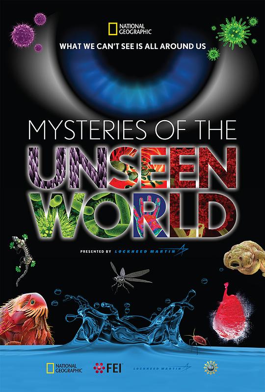 未知世界的秘密 Mysteries of the Unseen World (2013)