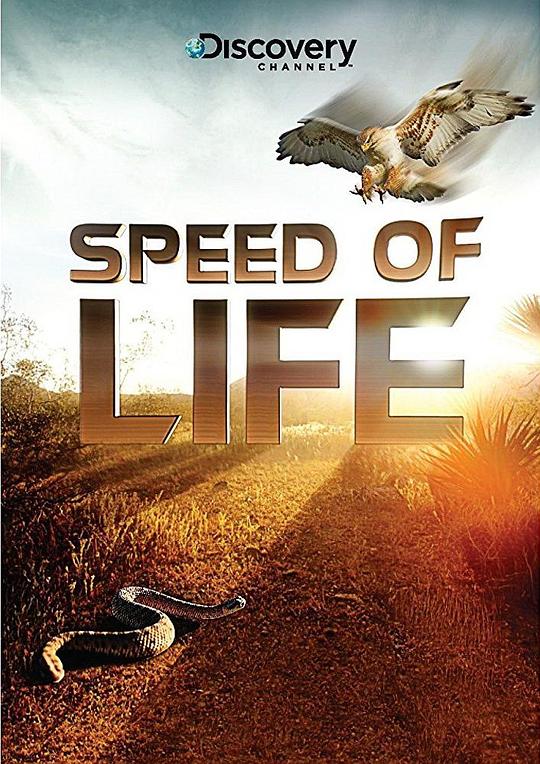 探索频道：生命的速度 Discovery Channel ：Speed of Life (2010)