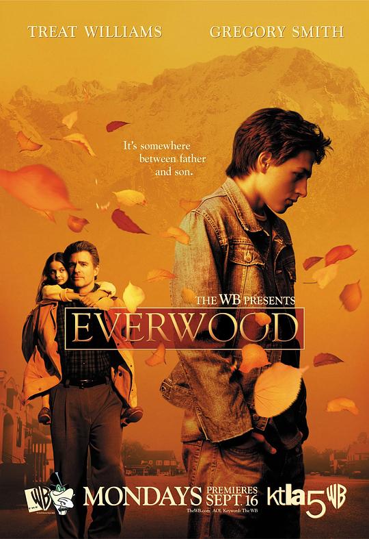 雪山镇 第一季 Everwood Season 1 (2002)