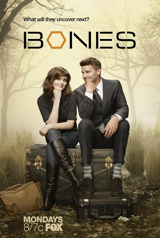 识骨寻踪 第八季 Bones Season 8 (2012)