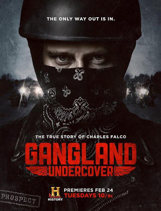 黑帮卧底 第一季 Gangland Undercover Season 1 (2015)