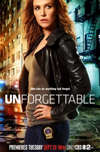 记忆神探 第二季 Unforgettable Season 2 (2013)