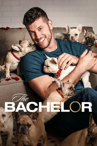 美国白马王子 第一季 The Bachelor Season 1 (2002)